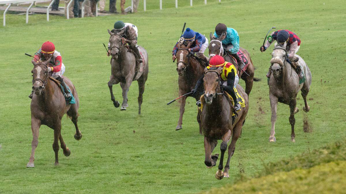 The Mackem Bullet, front right with Tyler Gaffalione up, won the Appalachian for trainer Weley Ward and owner Katsumi Yoshida.