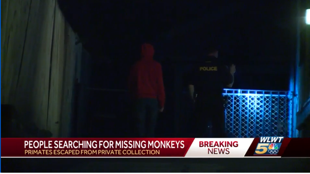 Police in Cincinnati, Ohio, are searching for monkeys that are reportedly on the loose.