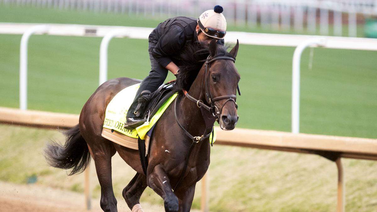 From baseball star to billionaire, these celebrities own 2025 Kentucky Derby horses