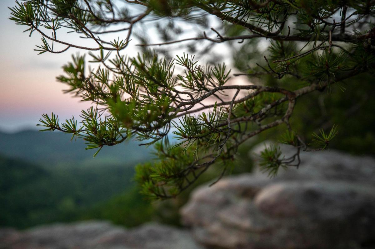Dawn breaks near the East Pinnacle in the Berea College Forest on Tuesday, May 31, 2022.