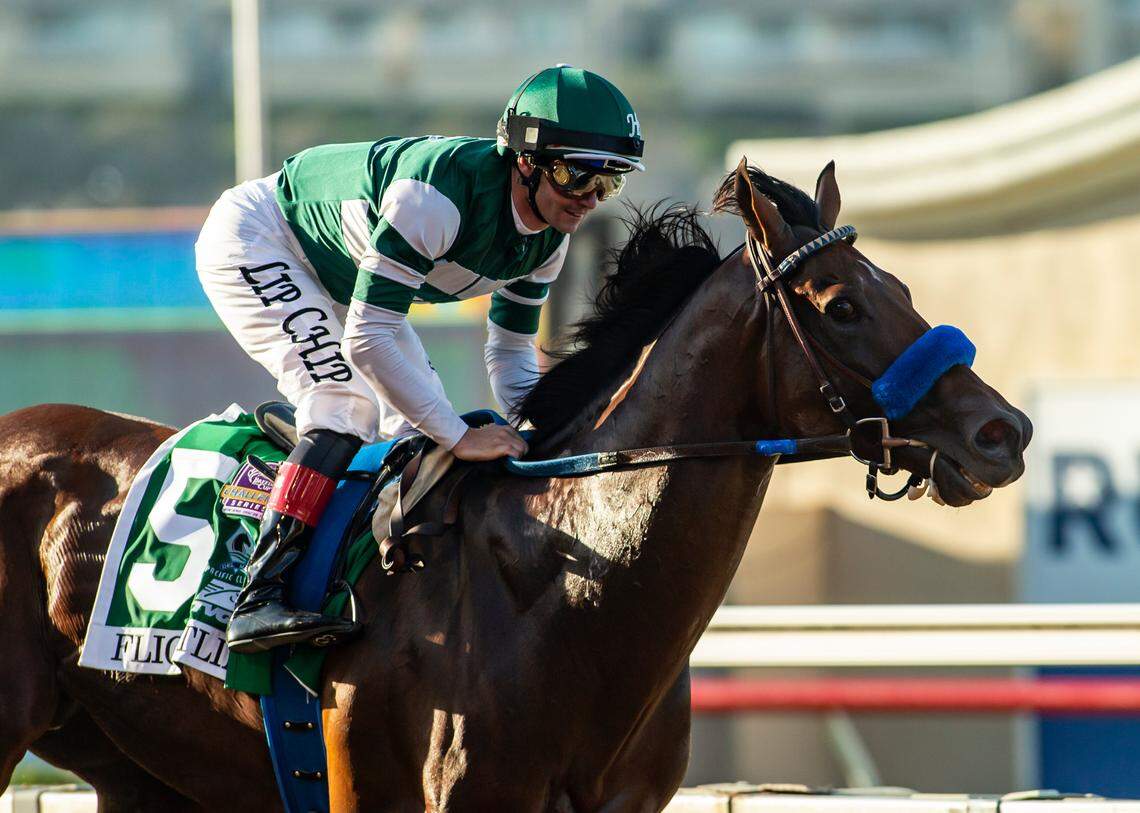 Flightline is undefeated in five career races entering the $6 million Breeders’ Cup Classic at Keeneland on Nov. 5.