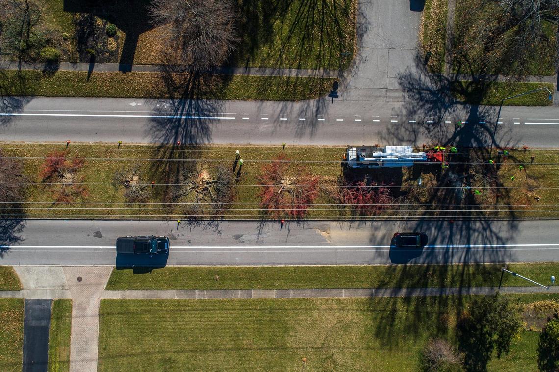 Workers cut trees underneath KU utility lines along Lansdowne Drive in Lexington, Ky., on Tuesday, Nov. 30, 2021.