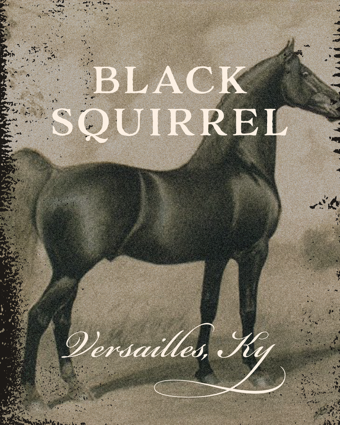 Black Squirrel is named for an iconic saddlebred stallion who sired more than 1,000 foals. With the resurgence of the saddlebred industry in Versailles, Lexington chef Cole Arimes decided to name his latest restaurant after the horse.