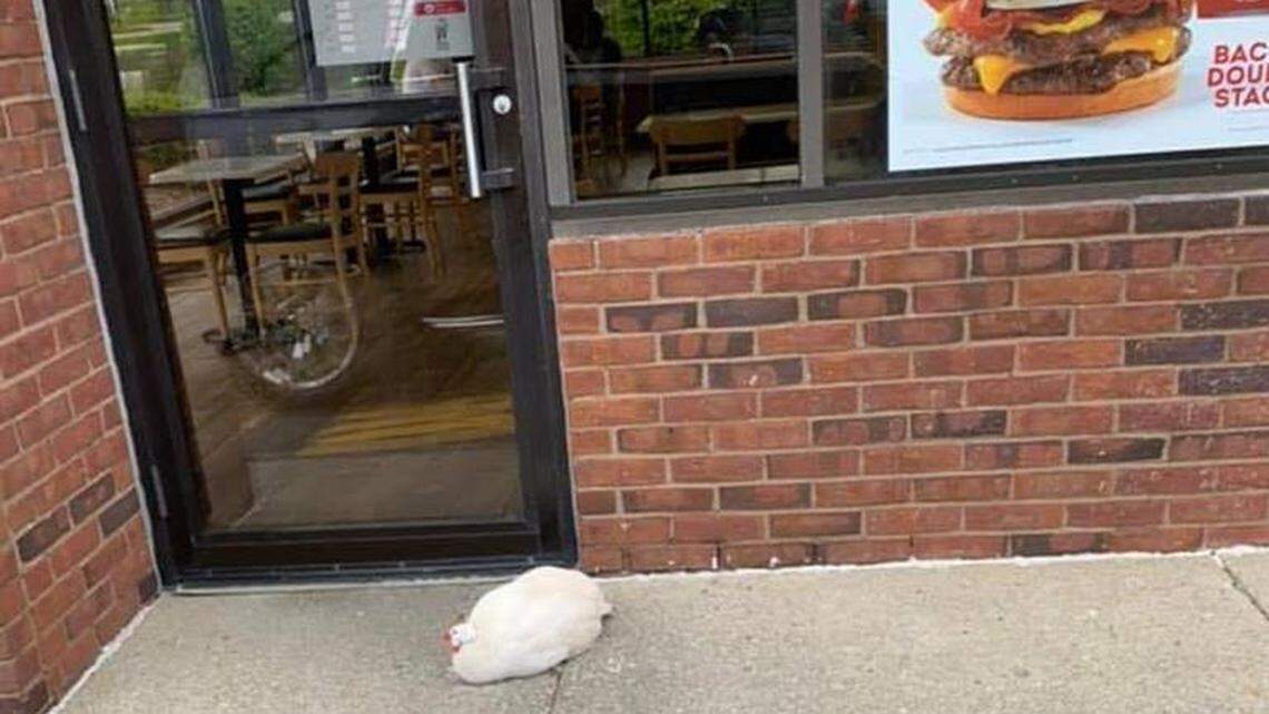 Elizabethtown police report fowl play at Wendy’s