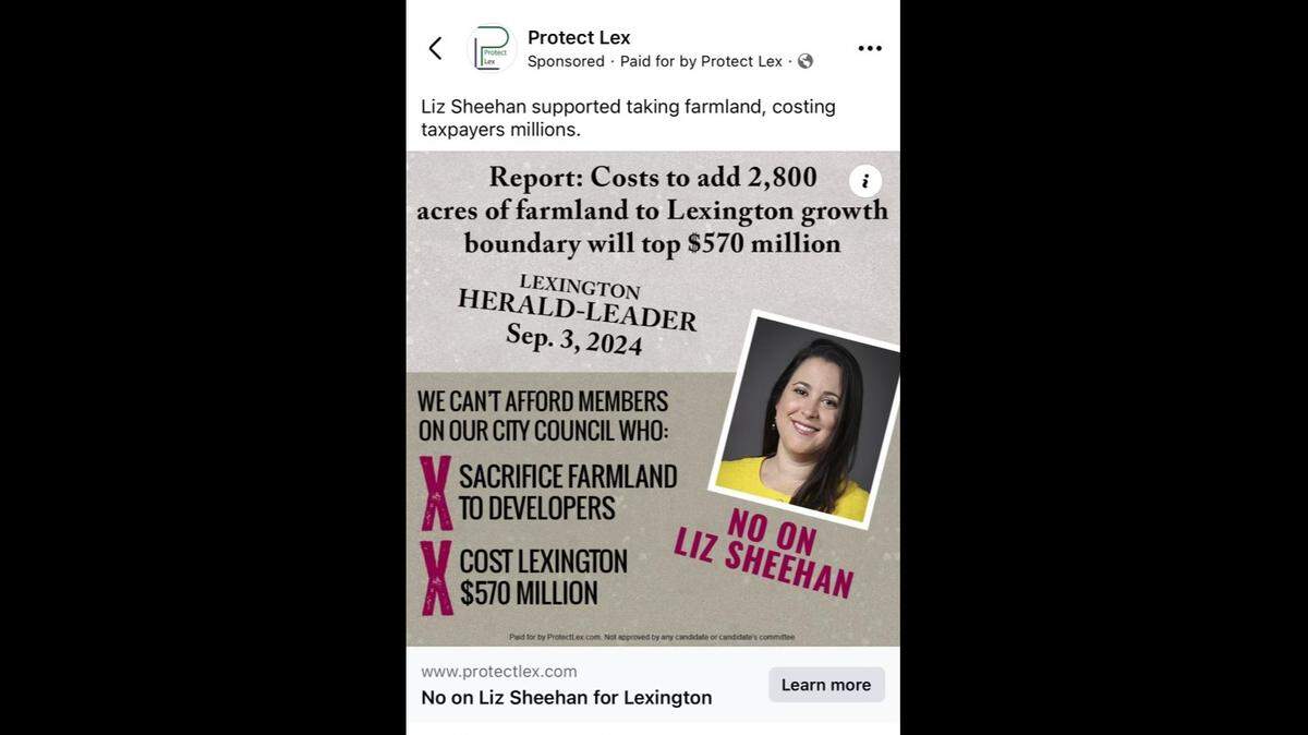 Protect Lex, a newly formed PAC, attacked council member Liz Sheehan for her vote on expansion.