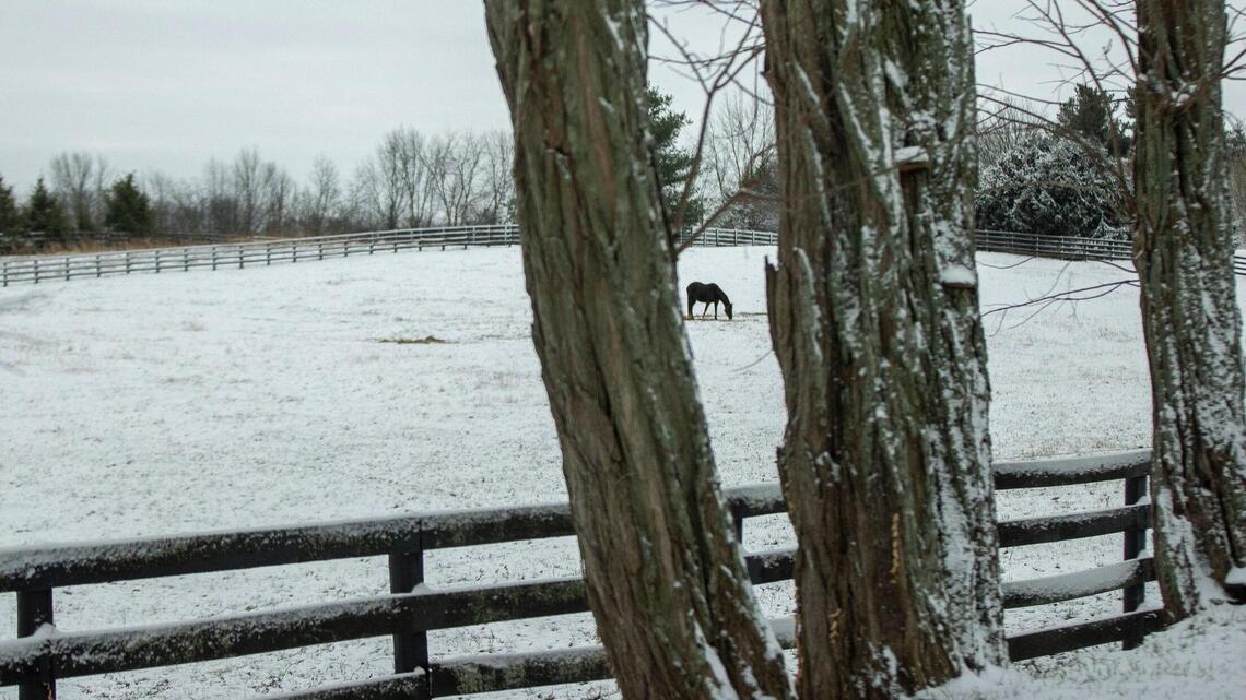 Crews work to restore power to many parts of Woodford County following winter storm