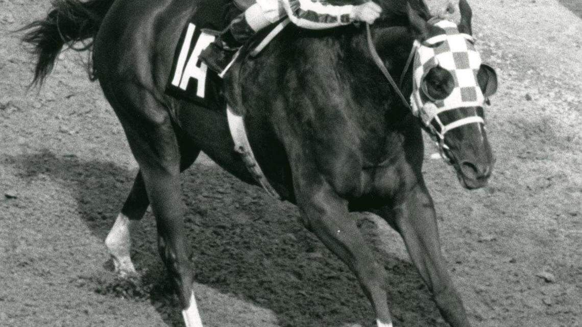 Ron Turcotte, the jockey who guided Secretariat to the Triple Crown, dies