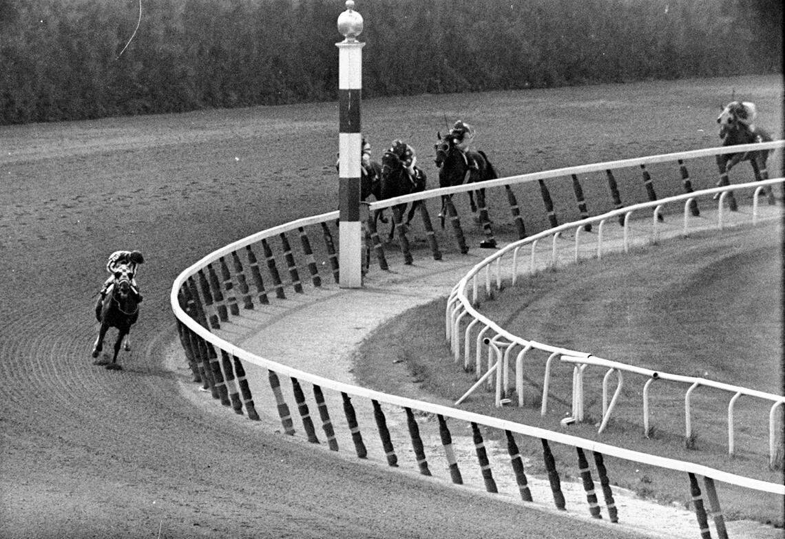 Jockey Ron Turcotte, aboard Secretariat, turned for a look at the field as they made the final turn on the way to winning the Belmont Stakes and the Triple Crown in 1973.