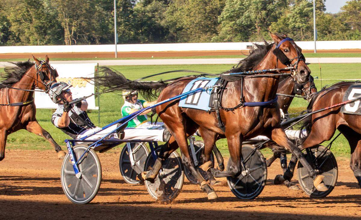 Katie’s Lucky Day (11) won Sunday’s Kentucky Filly Futurity by a nose at The Red Mile.
