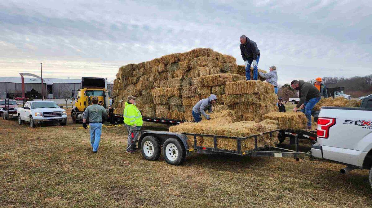 A recent hay drop coordinated by the Appalachian Horse Project and the Kentucky Horse Council.
