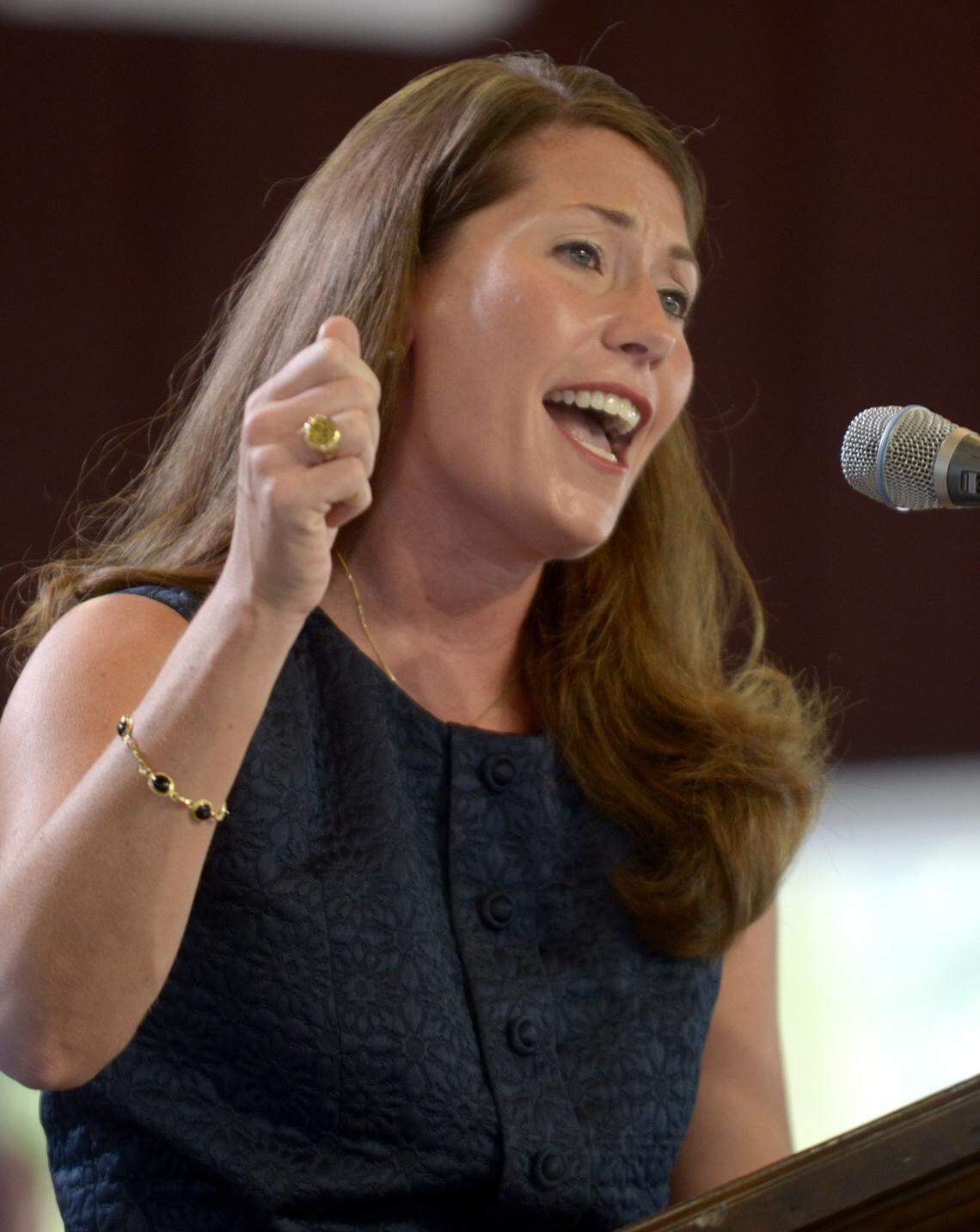 140803FancyFarmNotes