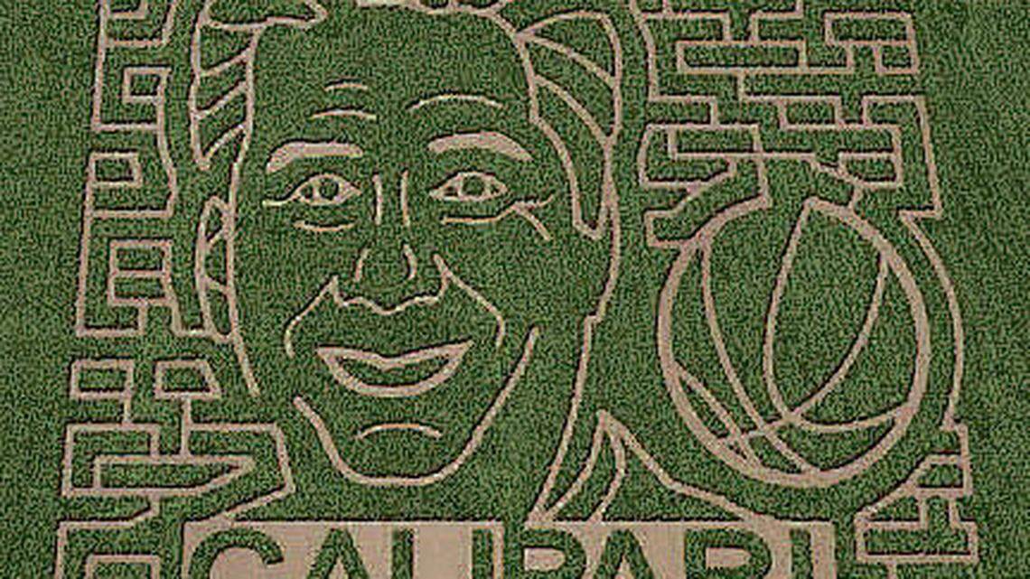 Kelley Farms’ Giant Corn Maze will feature the likeness of UK Coach John Calipari. The farm will be open to visitors starting Sept. 23. The photo is of a computer-generated image of the cornfield. Photo is not for sale.