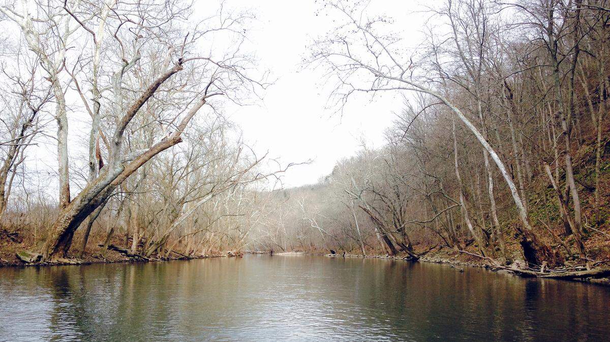 More than a century ago, Elkhorn Creek’s beauty attracted artist Paul Sawyier, who painted many scenes along the creek whose prints remain popular decorations in Kentucky homes.