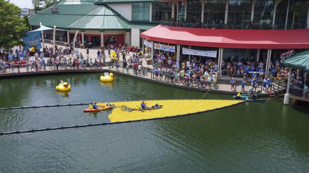 Thousands of ducks will race towards the finish line this weekend during the Lexington Ducky Derby at the pond behind Lexington Green.