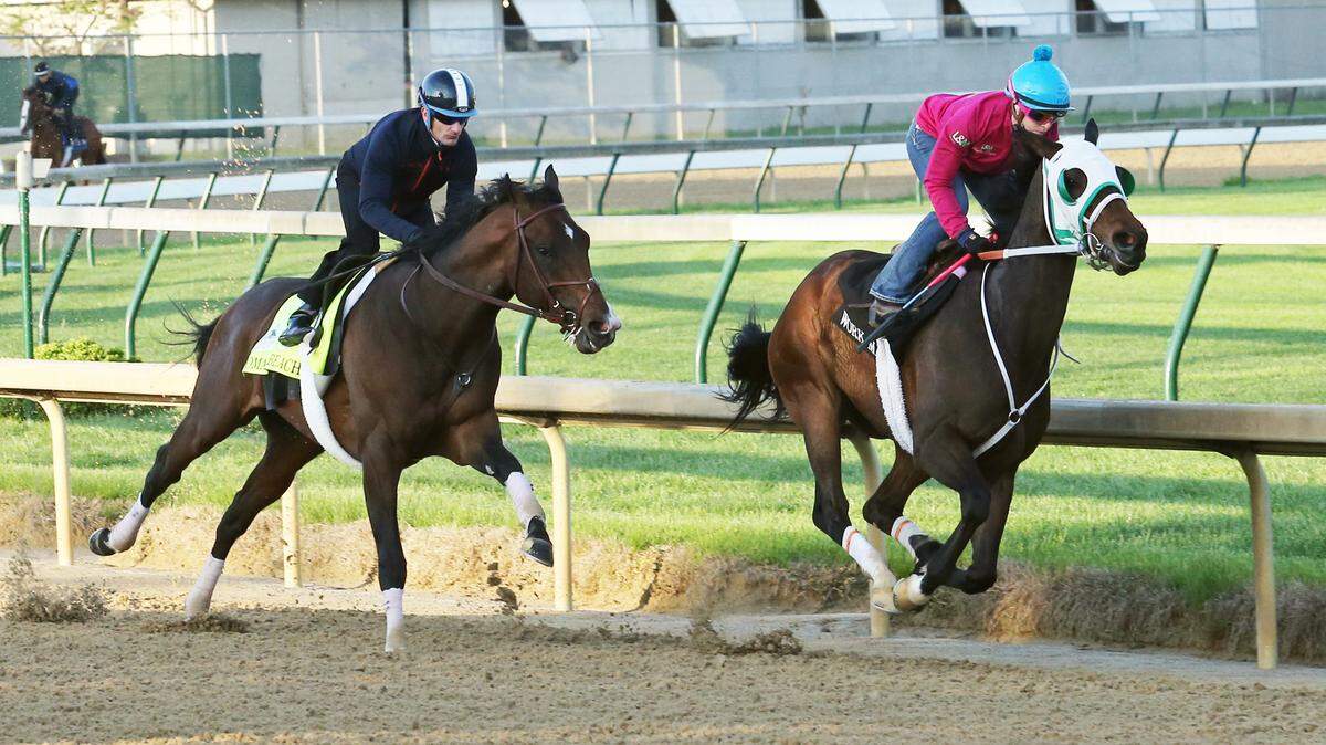 Kentucky Derby hopeful Omaha Beach, left, ran with 4-year-old gelding Cowboy Karma on Saturday morning at Churchill Downs.
