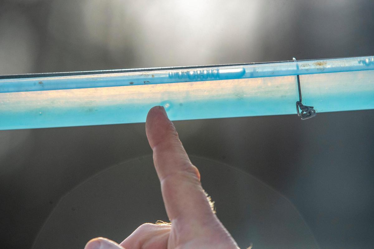 Seth Long points to sap running through a tube he uses in the process of making maple syrup on his property in Letcher County, Ky., on Tuesday, Feb. 2, 2022.