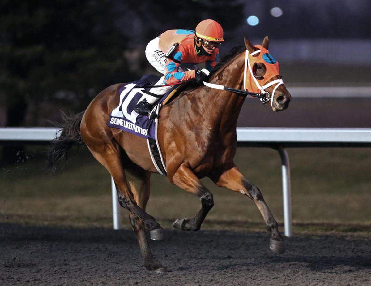Somelikeithotbrown swept a pair of races on the Polytrack at Turfway Park this winter on his way to the dirt track at Keeneland for the Blue Grass Stakes.