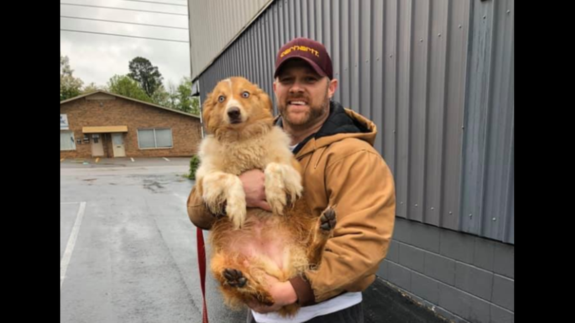 Eric Johnson with Bella, who was found this week nearly 5 miles from their home in Cookeville, Tennessee.
