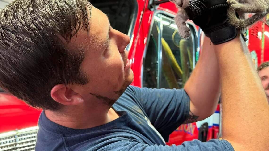Lexington firefighters find furry friend stowed away in fire truck
