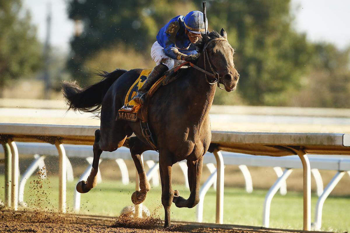 Maxfield earned a spot in next month’s Breeders’ Cup Juvenile at Santa Anita by winning Saturday’s Claiborne Breeders’ Futurity by 5 1/2 lengths at Keeneland.