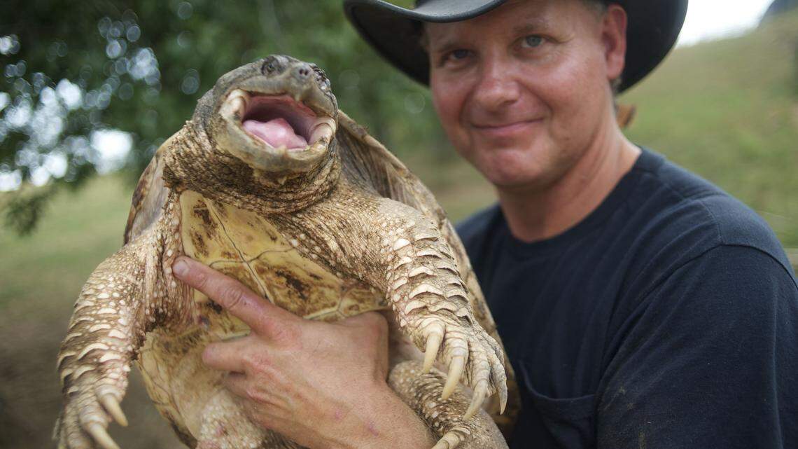 Ernie Brown Jr., who drags snapping turtles out of Kentucky ponds with his bare hands, is getting his own Animal Planet show.