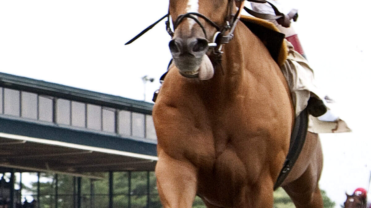 John Velazquez rode Wise Dan to a win at Keeneland on Sunday. Velazquez has won 4,803 races, 733 of them stakes.