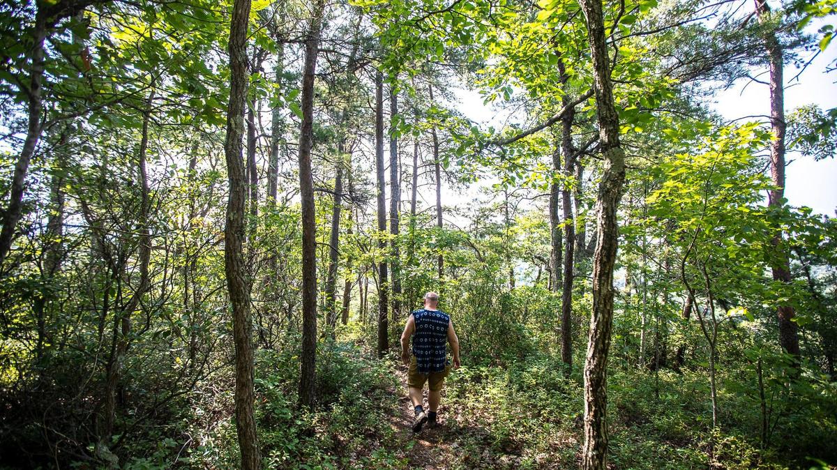 Ian Teal hikes on property he owns near the Slade exit off the Mountain Parkway, close to the Natural Bridge State Park, in Powell County, Ky., Friday, Aug. 7, 2020.