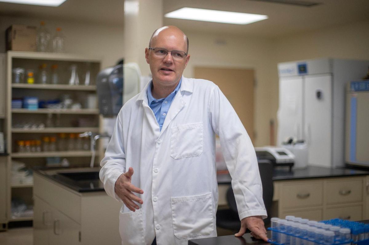 Dr. Allen Page leads a research team at UK’s Gluck Equine Center that has been looking at equine blood samples for biomarkers that could be used to predict injuries and stop potential catastrophic breakdowns in horse racing.