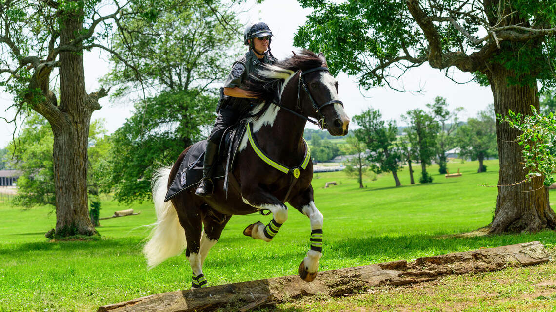 BreyerFest celebrates 30 years with salute to horse heroes