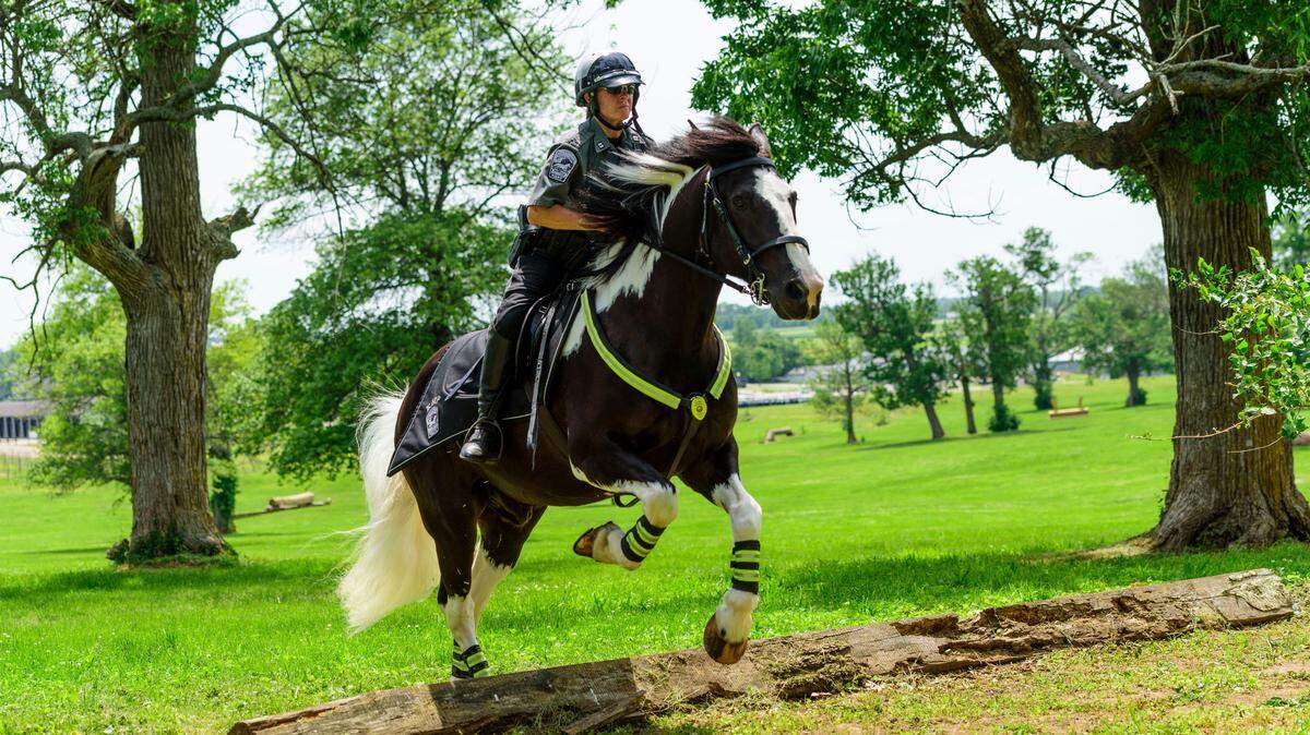 Capt. Lisa Rakes rides Kentucky Horse Park police horse, Oliver. Oliver is this year’s BreyerFest “Celebration Horse”. BreyerFest will begin July 12.