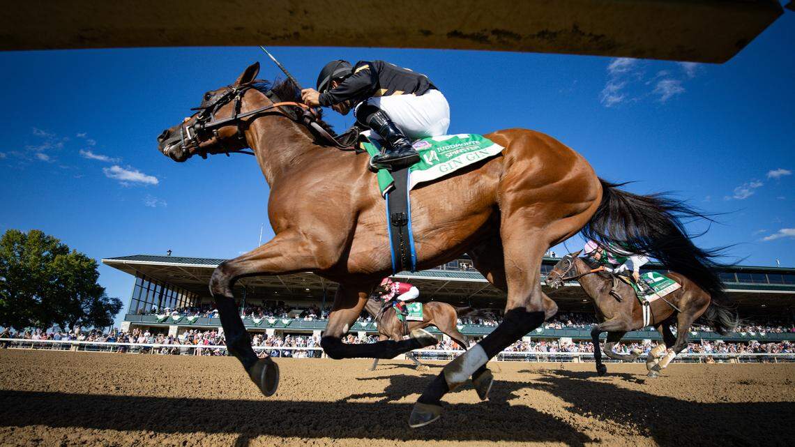 Sports ‘Around Town’ schedule for Lexington, Kentucky, for Oct. 8-14, 2025