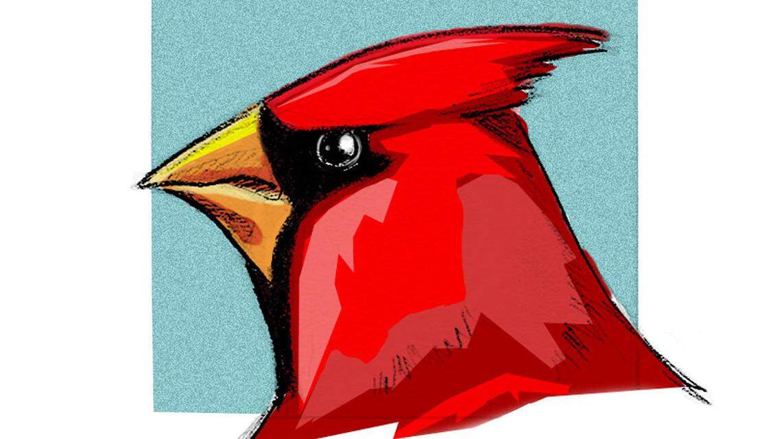 20070213 Northern cardinal