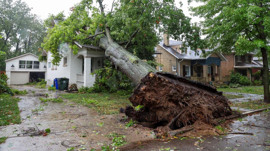 A downed tree sits on a home on Arcadia Park, Friday, Sept. 27, 2024 in Lexington, Ky. Rain and high winds from Hurricane Helene brought down trees all over the city.