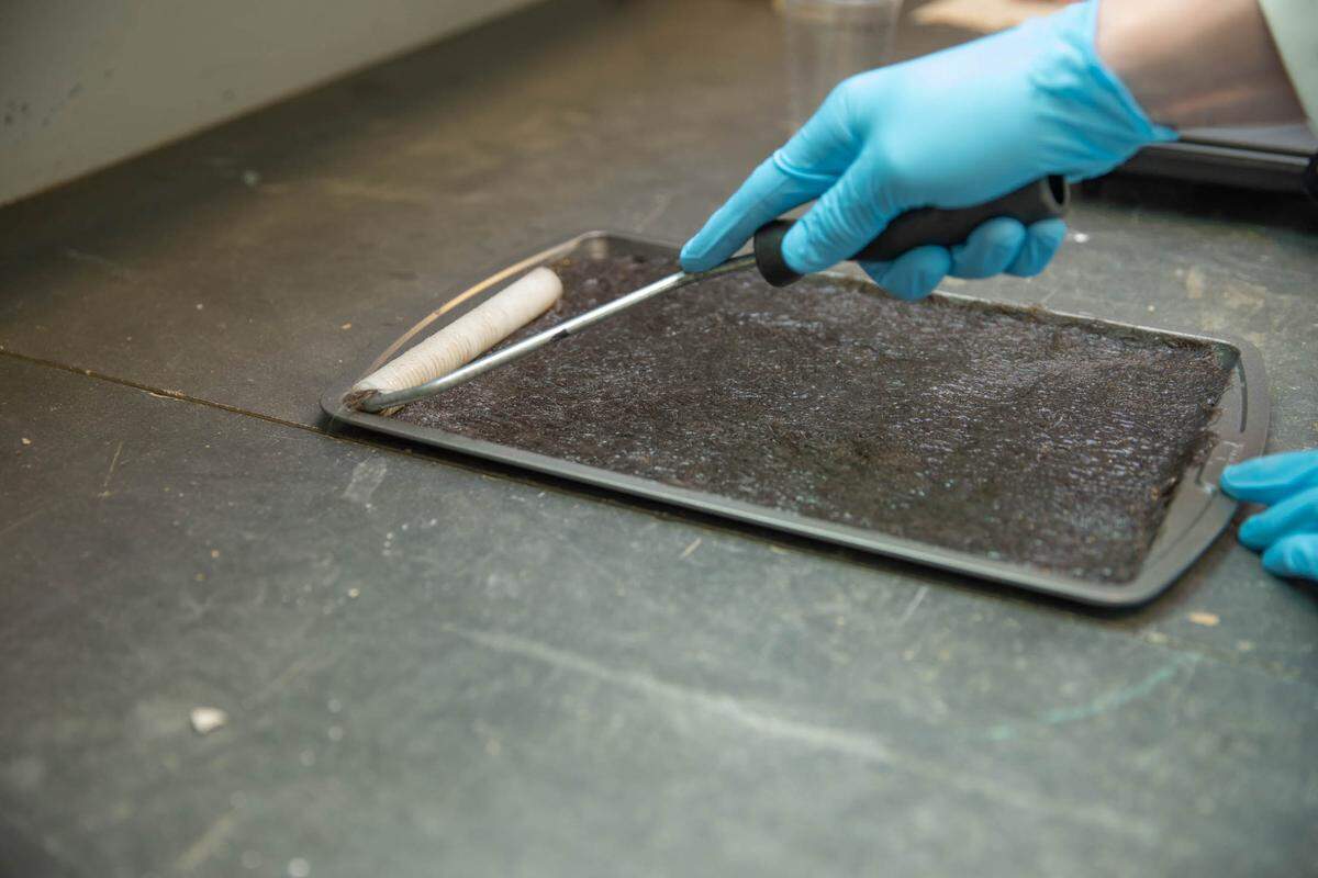 Researchers at the University of Kentucky are investigating how to use human hair to make more sustainable construction materials.