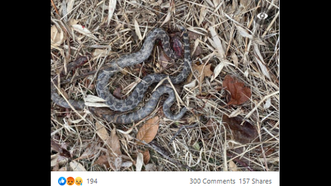 This is the photo the state shared on Facebook of the two victims in the case.