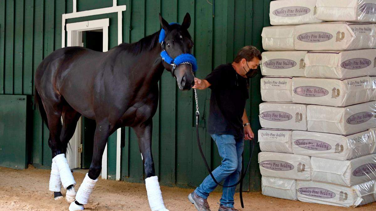 Kentucky Derby winner Medina Spirit walked around the Stakes Barn with assistant trainer Jimmy Barnes after arriving at Pimlico Race Course on Monday.
