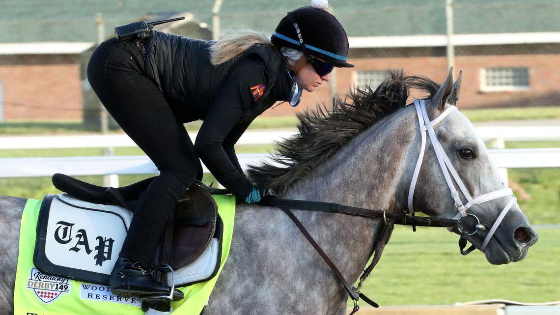 Unique 2023 Kentucky Derby horses include a quintet of grays and a pair bred in Japan