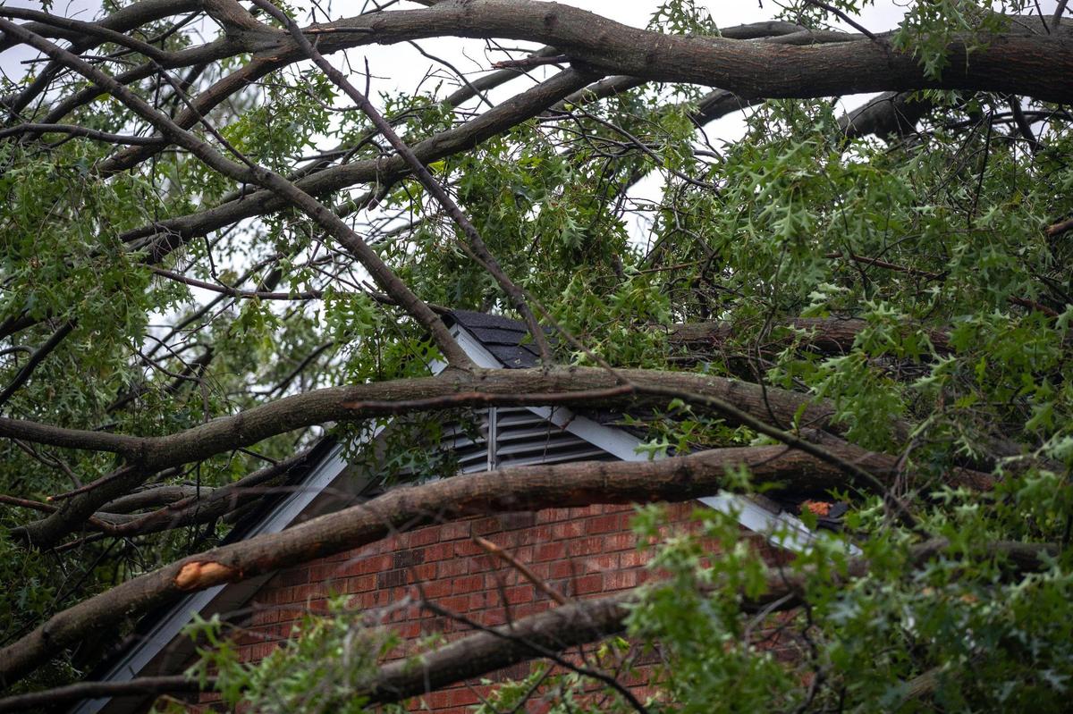 Severe weather caused a tree to fall on home on Merewood Drive in Lexington, Ky., on Sunday, July 2, 2023. The storms caused damage around the city and power outages.