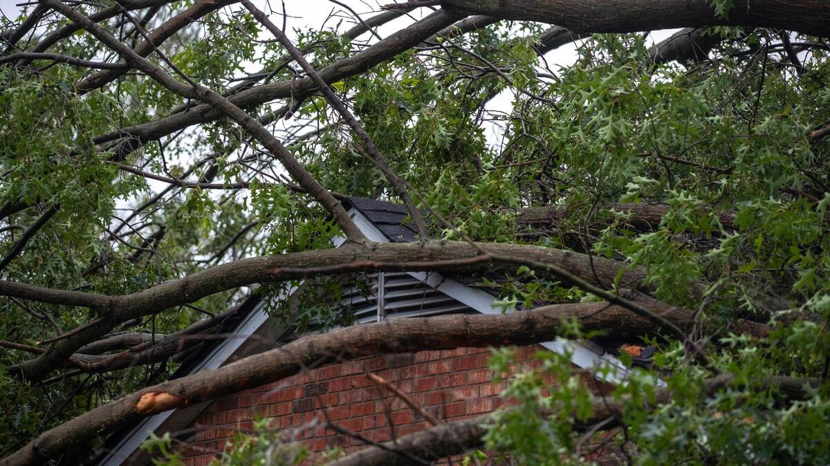 Severe weather caused a tree to fall on home on Merewood Drive in Lexington, Ky., on Sunday, July 2, 2023. The storms caused damage around the city and power outages.
