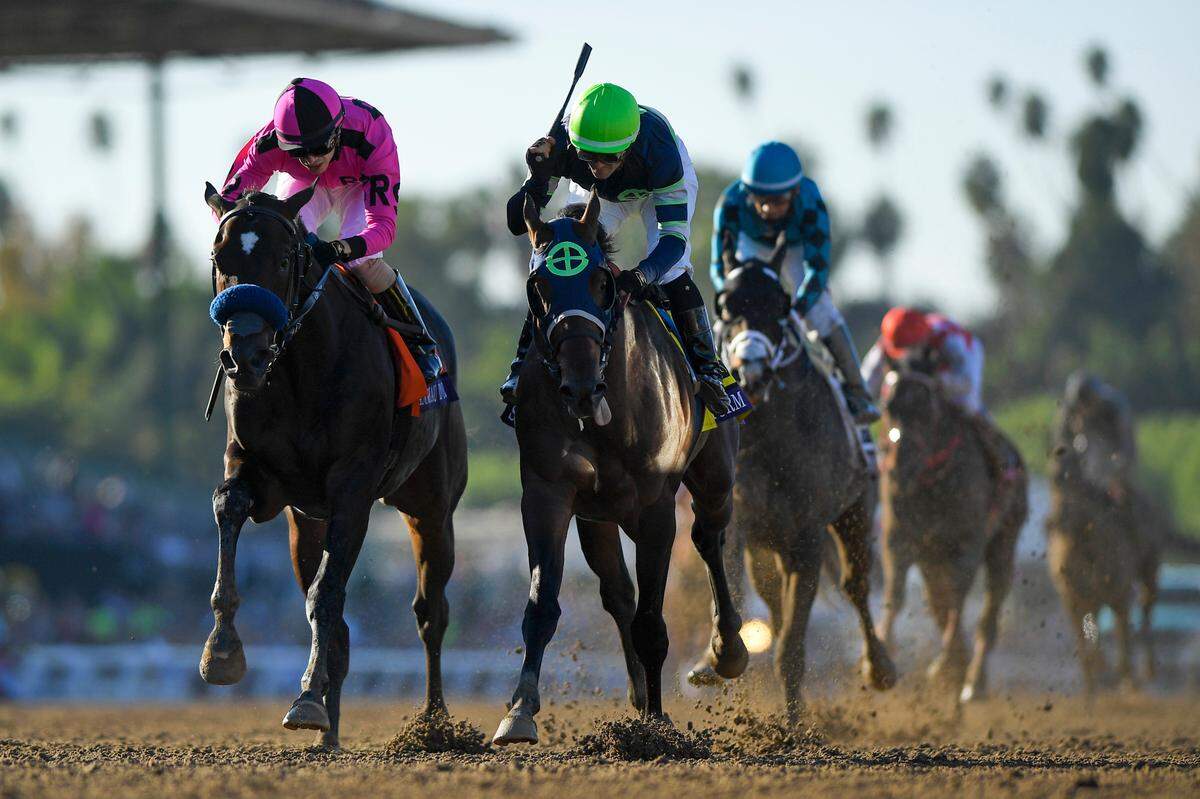 Flavien Prat, right, started to celebrate after Storm the Court edged out Anneau D’or, left, for the win in the Breeders’ Cup Juvenile at Santa Anita last year. Storm the Court was born at Phoenix Farm of Versailles.