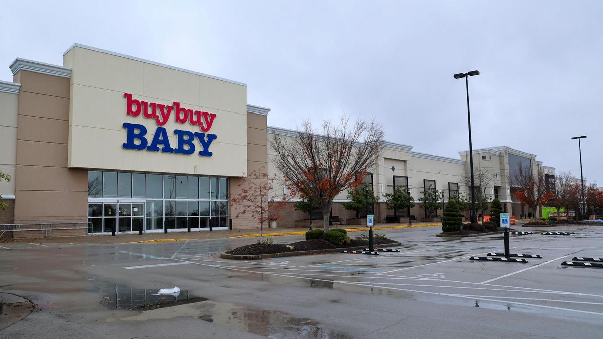 The buybuy Baby, left, and Bed Bath & Beyond stores in the Hamburg shopping center sit empty, Thursday, Nov. 21, 2024 in Lexington, Ky. The stores at 2321 Sir Barton Way closed in 2023.