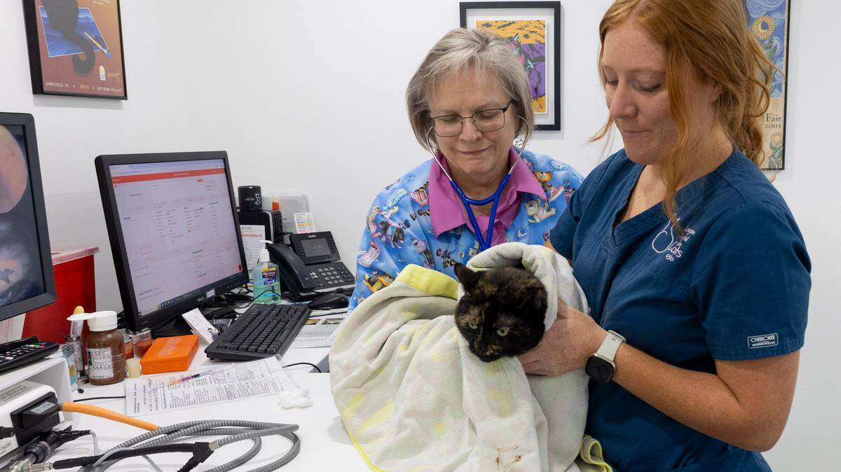 Dr. Alice Mills, left, and Megan Faught hold Tama during her annual exam at The Lexington Hospital for Cats July 3, 2024.