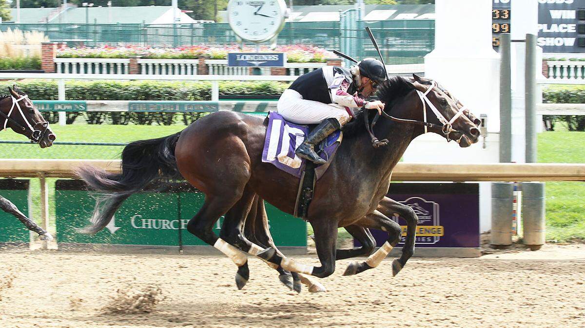 Horse for the course? How this year’s Derby contenders have fared at Churchill Downs.