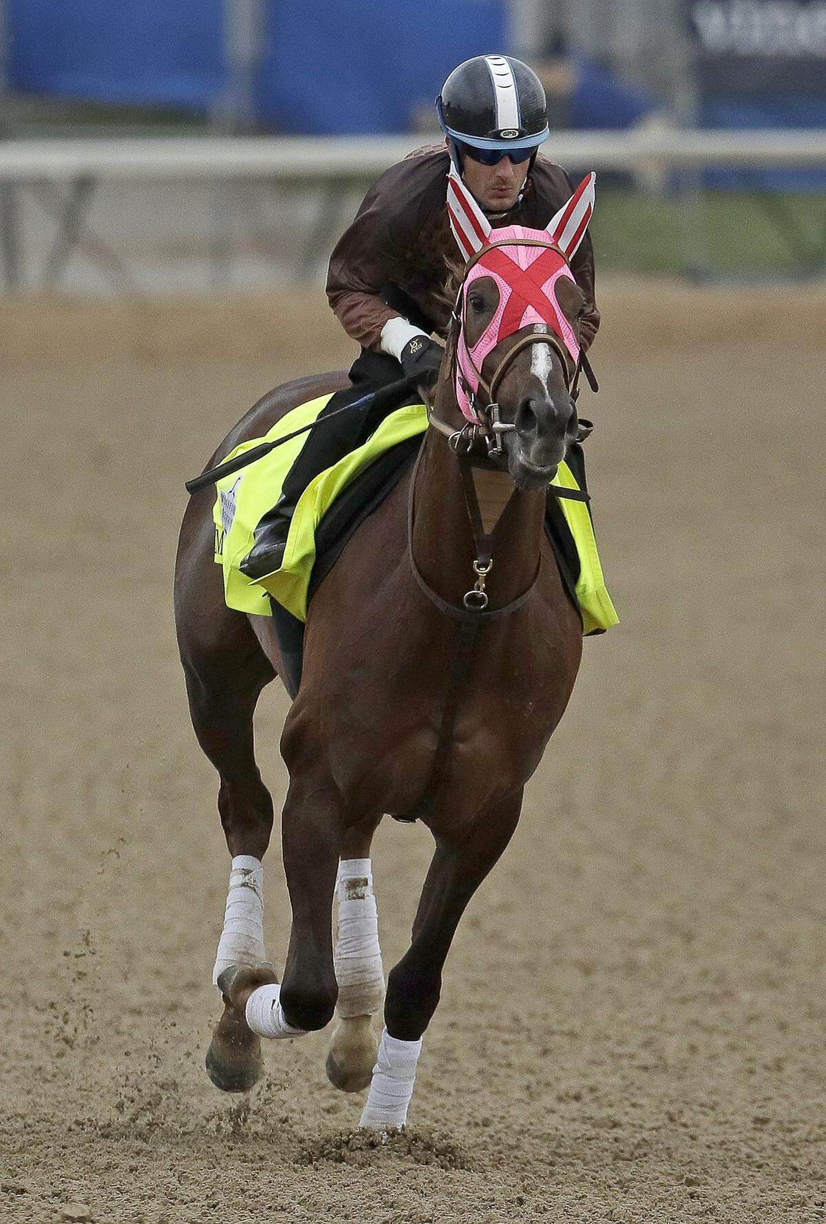 Kentucky Derby hopeful Master Fencer tested the Churchill Downs track for the first time Tuesday morning after arriving from Japan. Master Fencer was assigned morning-line odds of 50-1.