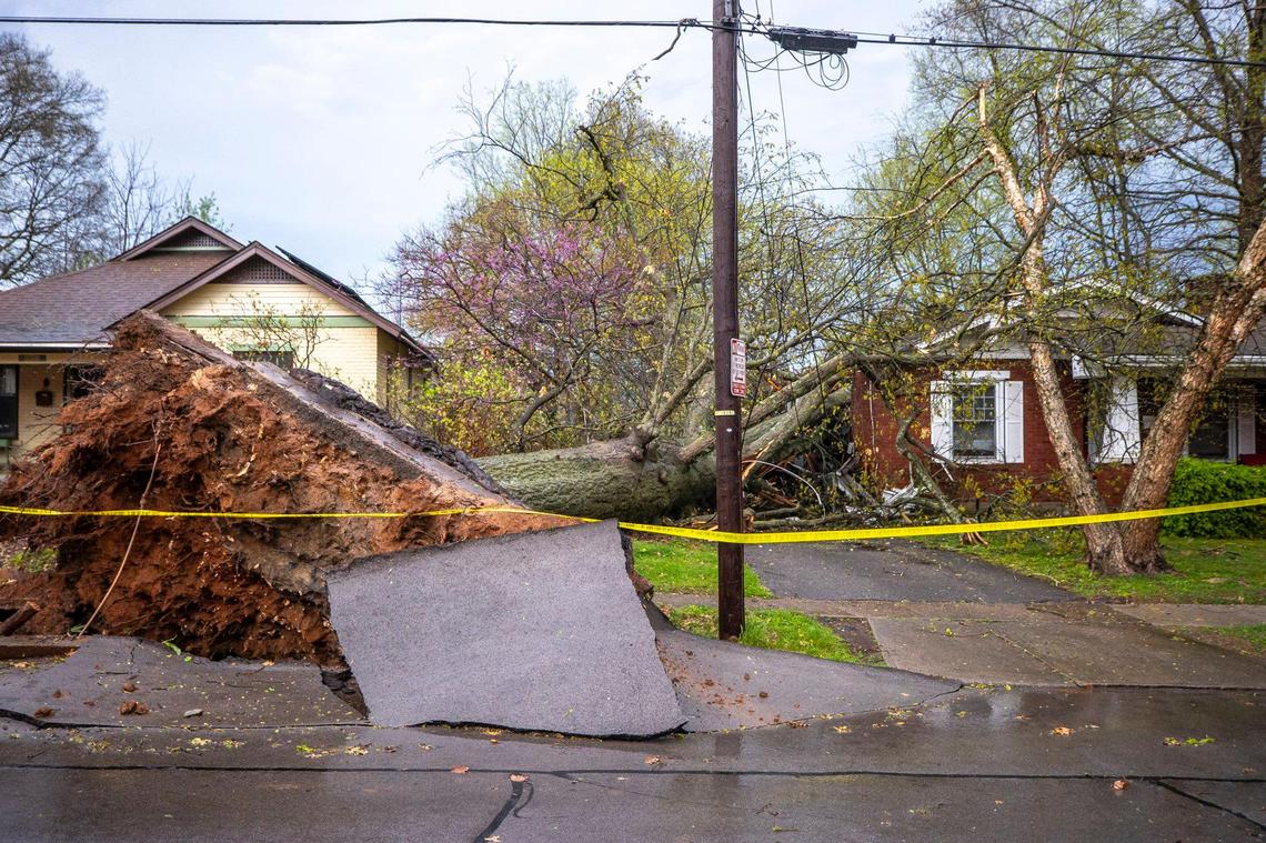 A tree fell on a house on Melrose Avenue during a storm in Lexington, Ky., on Tuesday, April 2, 2024.
