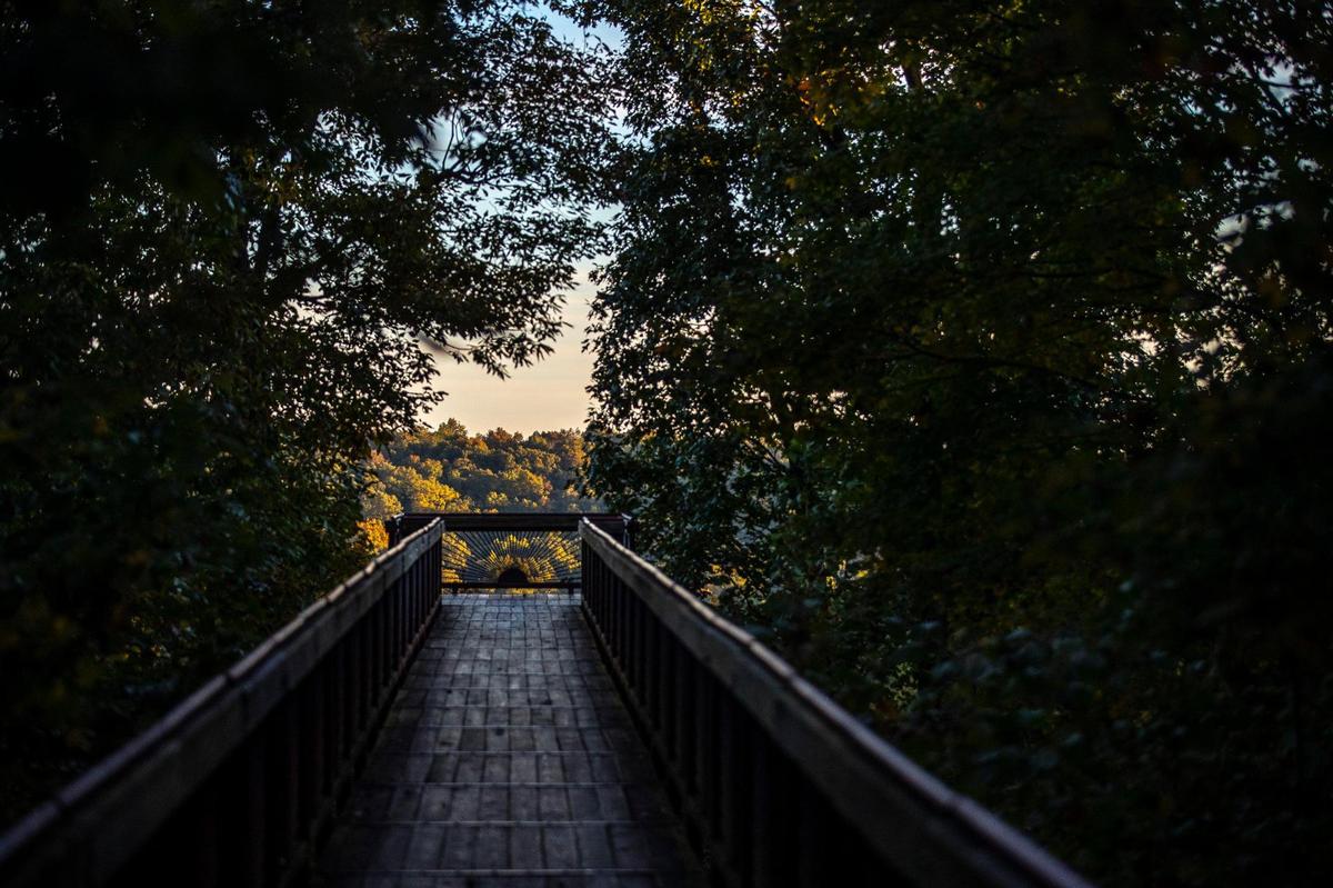 The canopy tree walk is a boardwalk that gives visitors a view 75 feet above the forest floor at the Bernheim Arboretum and Research Forest in Clermont, Ky. Wednesday, Oct. 27, 2021