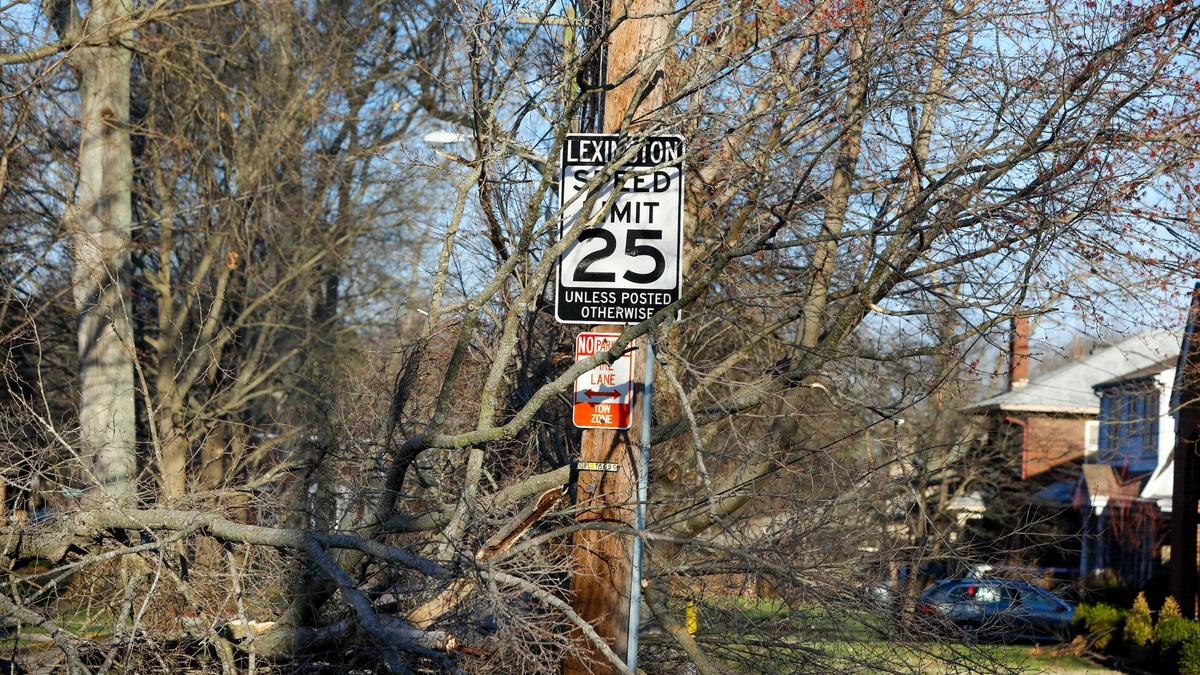 Debris from a downed tree blocks the street on Arcadia Park leading out to Nicholasville Road Sunday, March 5, 2023. Two day earlier a strong wind storm knocked out power to much of Lexington, Ky.