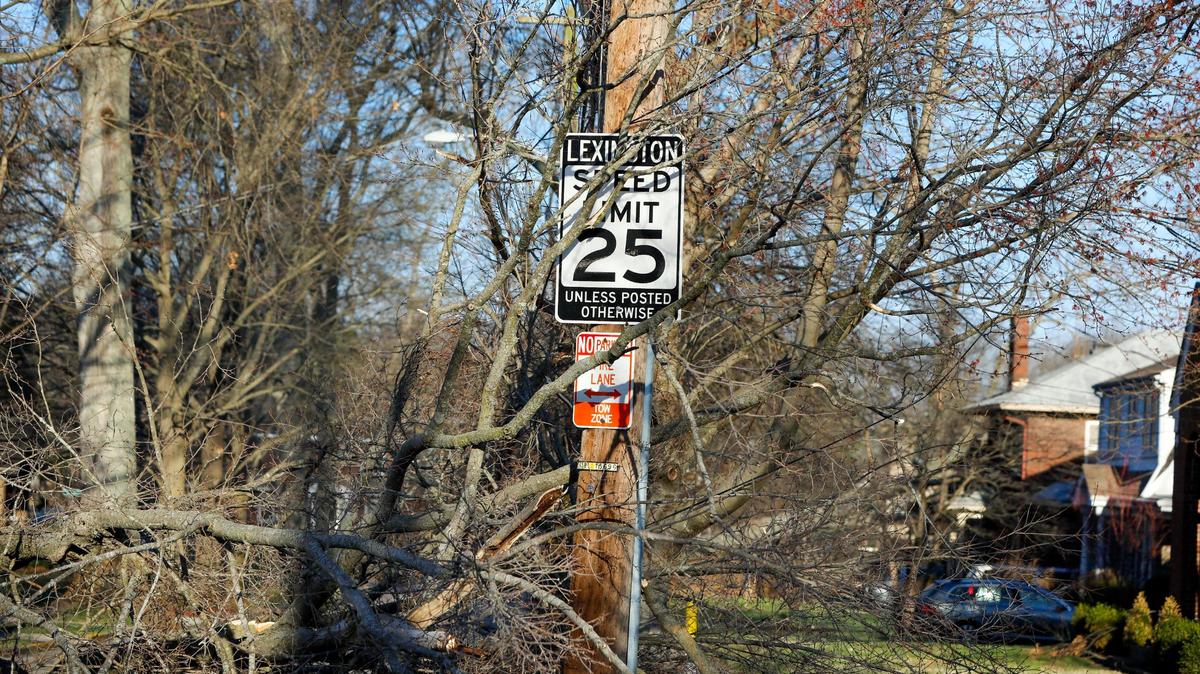 Debris from a downed tree blocks the street on Arcadia Park leading out to Nicholasville Road Sunday, March 5, 2023. Two day earlier a strong wind storm knocked out power to much of Lexington, Ky.