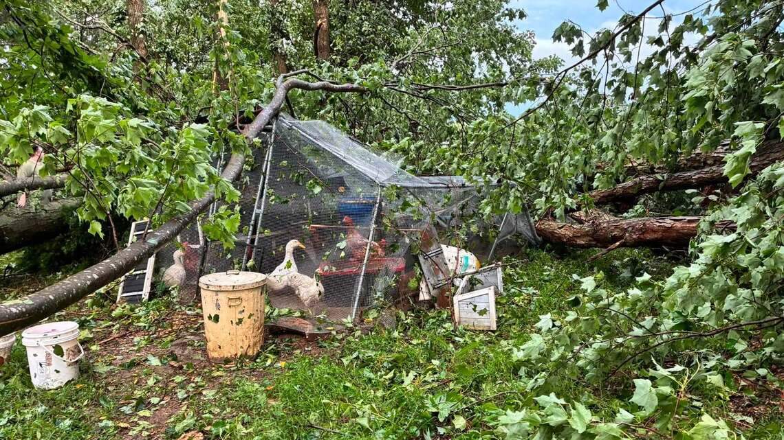 Kentucky had 4 tornadoes during severe storms, National Weather Service says