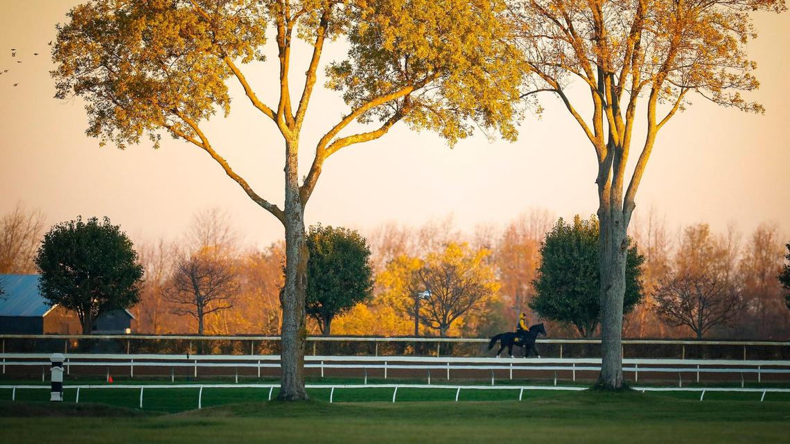 On eve of Breeders’ Cup, early returns say horse racing’s safety reforms are working